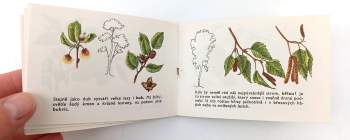 Václav Netušil: Naše stromy