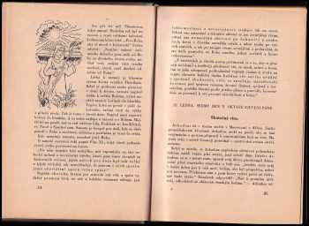 Rudolf Schikora: Naše světla