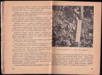 Jaroslav Stambera: Naše teplomilné zeleniny