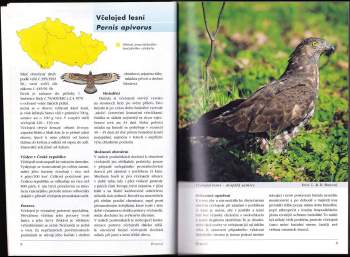 Otakar Závalský: Naši dravci a sovy a jejich praktická ochrana