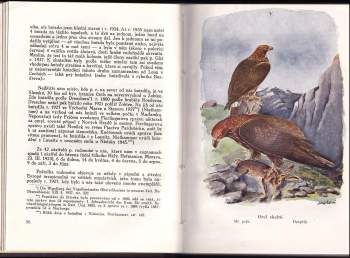 Josef Jirsík: Naši dravci