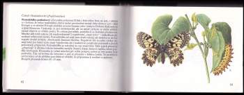 Jiří Zahradník: Naši motýli