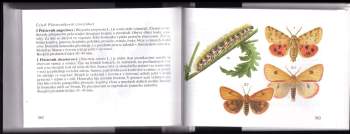 Jiří Zahradník: Naši motýli