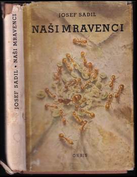 Naši mravenci