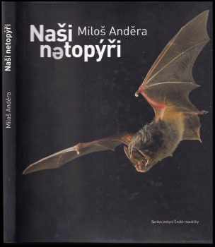 Naši netopýři