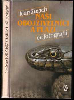 Naši obojživelníci a plazi ve fotografii