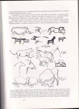 kolektiv: Nástin evropského pravěku