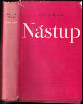 Nástup