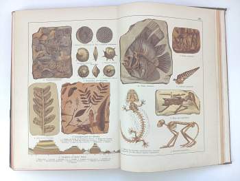 Johann Gustav Adolf Kenngott: Naturgeschichte des Mineralreichs für Schule und Haus