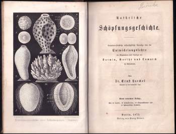 Ernst Haeckel: Natürliche Schöpfungs-Geschichte