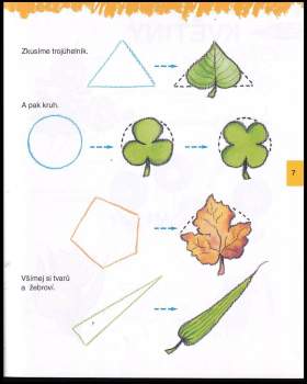 Rosa María Curto: Nauč se kreslit