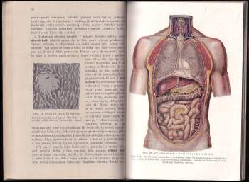 Karel Weigner: Nauka o člověku