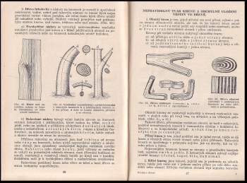 František Jirout: Nauka o dřevě