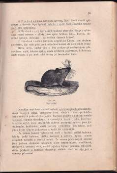 Ladislav Burket: Nauka o ochraně lesů
