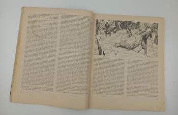 Josef Kutík: Návrat Bílé vydry