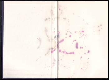 Tomáš Lukavec: Návrat do neznáma