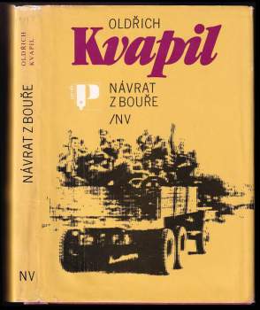 Návrat z bouře