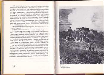 Oldřich Kvapil: Návrat z bouře