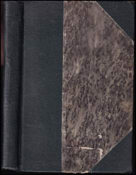 Návštěva a jiné povídky