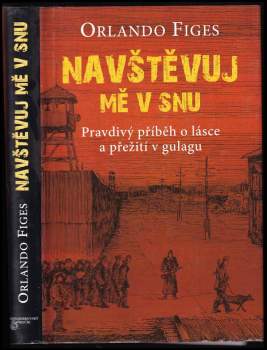 Navštěvuj mě v snu