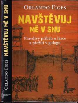 Navštěvuj mě v snu
