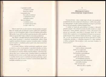 Ferdinand Stočes: Nebešťan na zemi vyhnaný