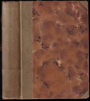 Nebezpečná kráska