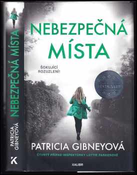 Patricia Gibney: Nebezpečná místa