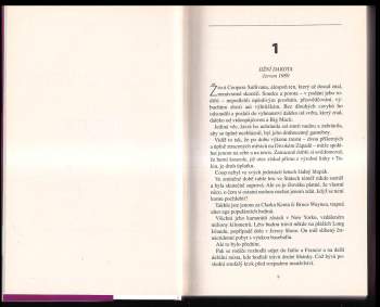 Nora Roberts: Nebezpečné útočiště