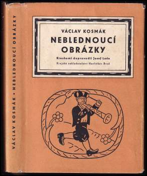 Neblednoucí obrázky