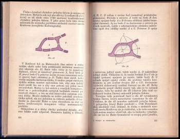 Jiří Sedláček: Nebojte sa matematiky