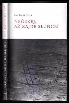 Nečekej, až zajde slunce!: politický román : politický román