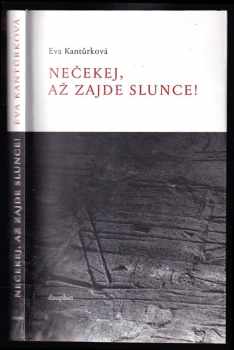 Eva Kantůrková: Nečekej, až zajde slunce!: politický román