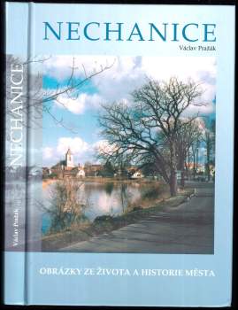 Nechanice