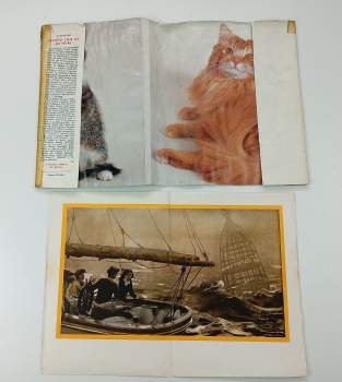 Arthur Ransome: Nechtěli jsme jet na moře