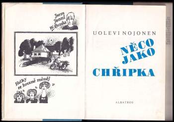 Uolevi Nojonen: Něco jako chřipka