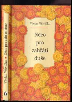 Něco pro zahřátí duše