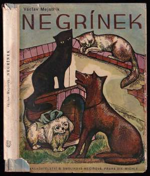 Václav Mejstřík: Negrínek
