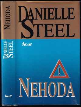 Danielle Steel: Nehoda
