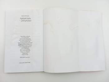 Michal Altrichter: Nejhlubší láska - Ježíš přichází