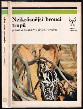 Nejkrásnější brouci tropů