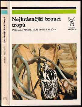 Nejkrásnější brouci tropů - Jaroslav Mareš, Vlastimil Lapáček (1980, Academia) - ID: 789969