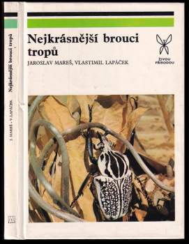 Nejkrásnější brouci tropů