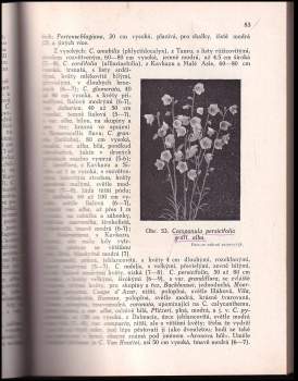 Josef Vaněk: Nejkrásnější ozdobou zahrady jsou pereny