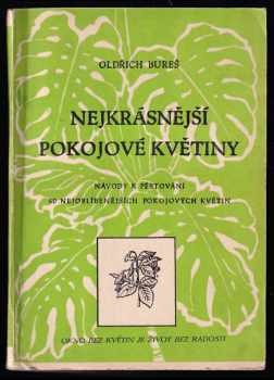 Nejkrásnější pokojové květiny