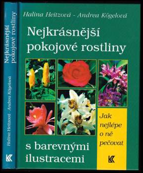 Nejkrásnější pokojové rostliny