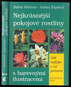 Nejkrásnější pokojové rostliny