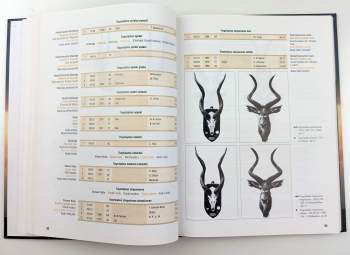 Josef Hromas: Nejsilnější světové trofeje