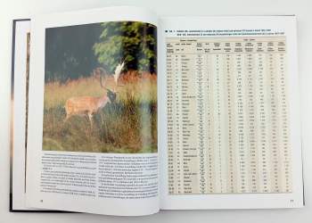 Josef Hromas: Nejsilnější světové trofeje