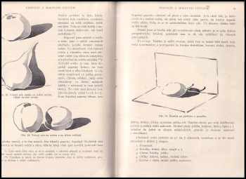 Josef Jaroslav Filipi: Nejvolnější způsoby kreslířské - návod, jak vyučovati kreslení a malování štětcem, kreslení pérem a vystřihování